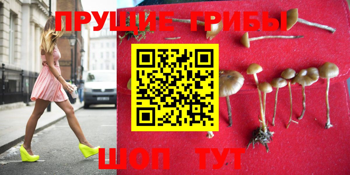 Галлюциногенные грибы ЛСД Мурино