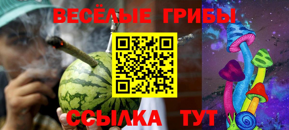 Галлюциногенные грибы Magic Shrooms  наркота  Псилоцибиновые грибы Cubensis  Мурино  Вход с VPN 